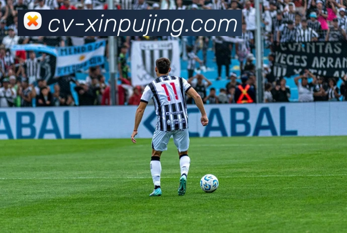 App Interface Preview